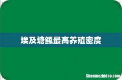 埃及塘鲺最高养殖密度