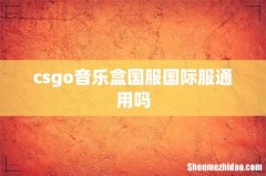 csgo音乐盒国服国际服通用吗