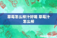草莓怎么榨汁好喝 草莓汁怎么榨
