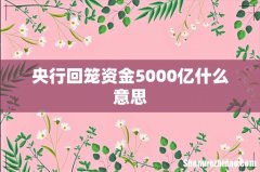 央行回笼资金5000亿什么意思