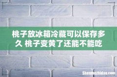 桃子放冰箱冷藏可以保存多久 桃子变黄了还能不能吃