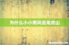 为什么小小南风去龙虎山