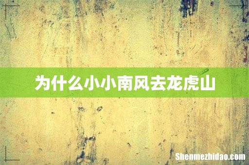 为什么小小南风去龙虎山
