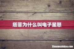 塔菲为什么叫电子星怒