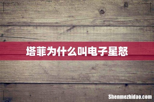 塔菲为什么叫电子星怒