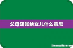 父母转账给女儿什么意思
