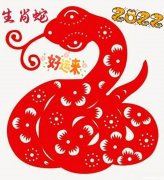 属蛇的人的吉祥数字是多少钱