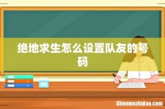 绝地求生怎么设置队友的号码
