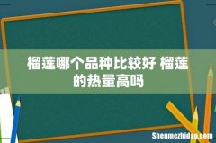 榴莲哪个品种比较好 榴莲的热量高吗
