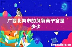 广西北海市的负氧离子含量多少