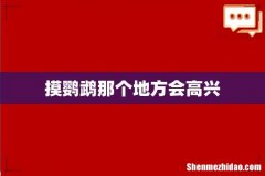 摸鹦鹉那个地方会高兴
