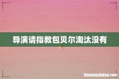 导演请指教包贝尔淘汰没有