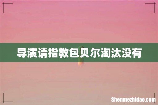 导演请指教包贝尔淘汰没有