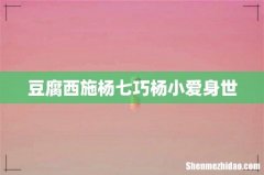 豆腐西施杨七巧杨小爱身世