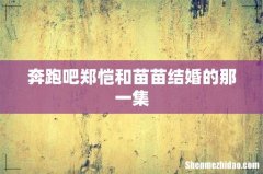 奔跑吧郑恺和苗苗结婚的那一集