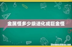 金属怪多少级进化成巨金怪