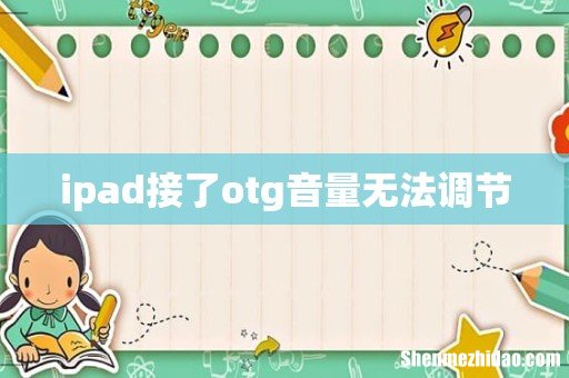 ipad接了otg音量无法调节