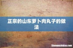 正宗的山东萝卜肉丸子的做法