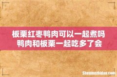 板栗红枣鸭肉可以一起煮吗 鸭肉和板栗一起吃多了会怎么样