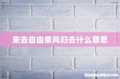 来去自由乘风归去什么意思