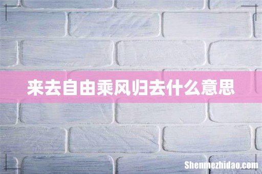 来去自由乘风归去什么意思
