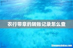 农行带章的转账记录怎么查