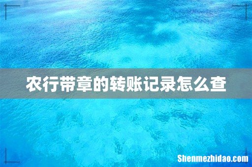 农行带章的转账记录怎么查