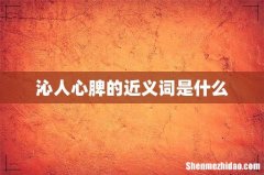 沁人心脾的近义词是什么