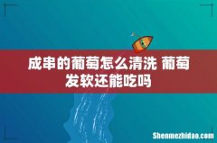 成串的葡萄怎么清洗 葡萄发软还能吃吗