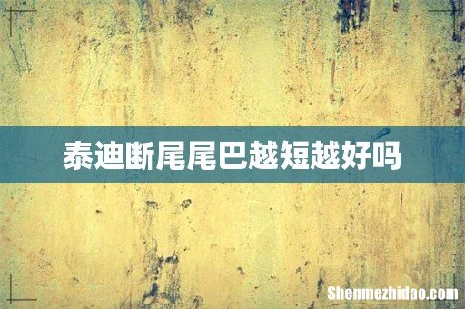 泰迪断尾尾巴越短越好吗