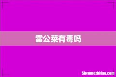 雷公菜有毒吗