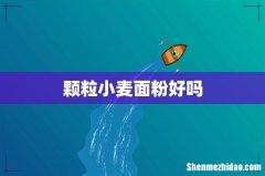 颗粒小麦面粉好吗