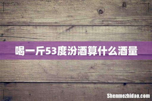 喝一斤53度汾酒算什么酒量