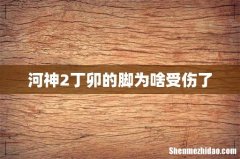 河神2丁卯的脚为啥受伤了