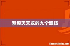紫煌灭天龙的九个魂技