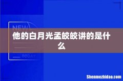 他的白月光孟皎皎讲的是什么