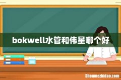 bokwell水管和伟星哪个好