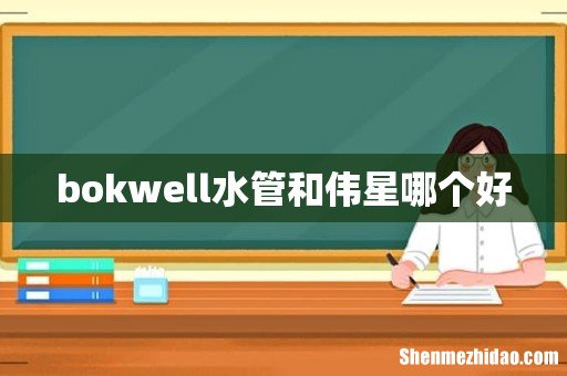 bokwell水管和伟星哪个好