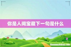 你是人间宝藏下一句是什么