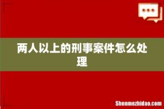 两人以上的刑事案件怎么处理