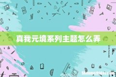 真我元境系列主题怎么弄