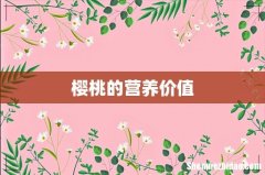 樱桃的营养价值