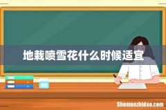地栽喷雪花什么时候适宜