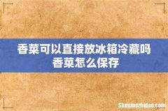 香菜可以直接放冰箱冷藏吗 香菜怎么保存