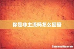 你是非主流吗怎么回答