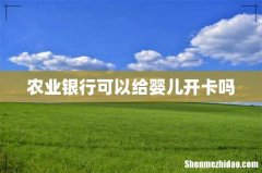 农业银行可以给婴儿开卡吗