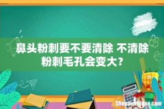 鼻头粉刺要不要清除 不清除粉刺毛孔会变大？