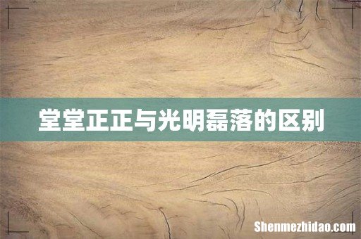 堂堂正正与光明磊落的区别