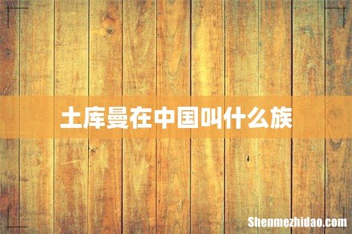 土库曼在中国叫什么族
