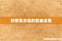 刘若英合唱的歌曲全集